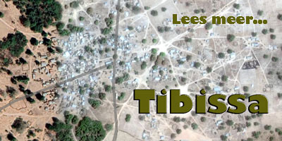 Project Tibissa, Mali